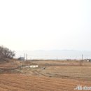 힐링11번가 네이버블로그
