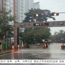 양지마을2로 이미지