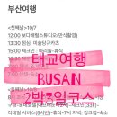 애나동물병원 | 부산 태교여행 | 24주 임산부 2박 3일 태교여행 코스