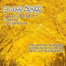 여주-1029 이미지