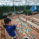 포시즌농장 이미지