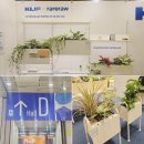 클리프 | 서울리빙디자인페어 2026 이색적인 플랜테리어 브랜드 KLIF 클리프 후기