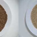 문화동005 이미지