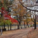 개미공원 근처 이미지