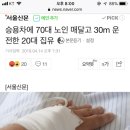 승용차에 70대 노인 매달고 30m 운전한 20대 집유 이미지