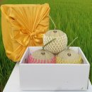 길만농장 이미지