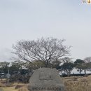 스위스마을113동 | 제주도 여행 2일차