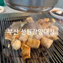 성원정양대창사상점 | 사상 맛집 성원정양대창
