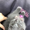 수다라헤어 네이버블로그