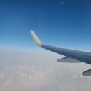 오조별장 | [제주도] 외동딸 놀이인줄 알았는데 효도여행이 된 건에 대하여