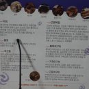 호미곶반상 이미지