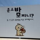 공주알밤카페 | ෆ 공주 카페, 공주 알밤 디저트 맛집 <춘소커피> 내돈내산 솔직후기