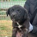 쉬미항로 이미지