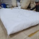 솜사랑