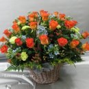 둔산중로-51 이미지