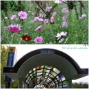 서울남부교도소부속치과의원 | 첨단시설의 서울남부교도소, 정책현장방문