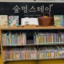 멍스테이 - 고성군 백도해변길 78 | 멍스테이