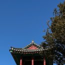 수월산성(水月山城) | ⛰️ 보문산성 ⛰️ 📍대전 보문산 #백제 ⚔️
