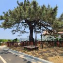 어린이놀이터 마을회관 옆 이미지