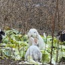 울산컴퓨터세탁 | 울산 숙소 추천 | 울산무거동숙소 고민 끝! 가성비+시설 다 잡은 곳 [호텔먹자닷컴무거점]