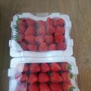 다담보쌈 이미지