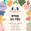 헬로멍뭉 이미지