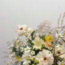 반블라썸 이미지