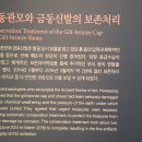 금동화학