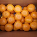 현철농장 이미지