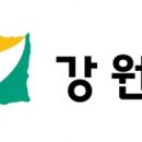 강원도디엠제트박물관 이미지
