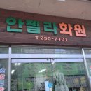 안젤라화원