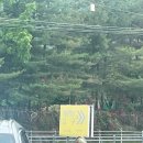 용인 오토멘토 다녀온 후기, 라브4 하이브리드 7만키로 제대로 관리하는 법