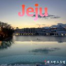 [제주도 호텔 추천] 에코랜드 호텔 온수풀 수영장 완벽 후기
