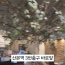 산본카리스