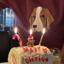 초정바베큐캠프 | 근래 먹은 것들 (김네집, 사창수산, 꾸드뱅, 크림룸, 반지하, 초정바베큐, 신촌파스타) 솔직후기들