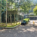 펜션 다알리아 | 강원도 인제 맑은물리조트 애견동반 펜션