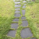 이디야(양주고읍중앙점) 이미지