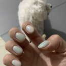 쿠스네일