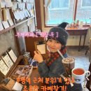 카페일루 | 조용하고 분위기 있는 애견동반 카페를 찾는다면 일루오세요. 부평카페 [이삼옥 ] - 내돈내산 - 솔직후기