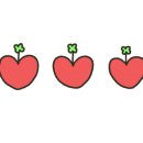 네일보네르 이미지