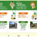패밀리여행사 이미지
