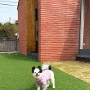 캠린스테이