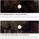 [개포1] 독일 역사&독일 미술관 투어 | 독일 베를린🇩🇪| 박물관 섬 투어, 공식 영어 오디오가이드, 박물관섬 패스