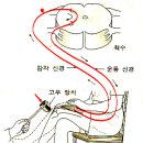 곡반사