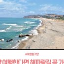 남대천L 이미지