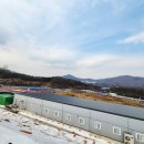 내곡동700 이미지