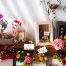 공기정화 스칸디아모스 만들기 이미지