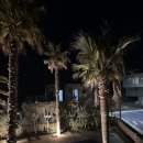 몬테르니 이미지