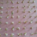 (주)수경약품 이미지