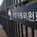 보람상조애니콜 이미지
